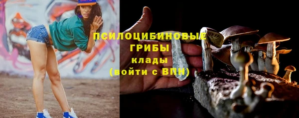 метадон Касимов