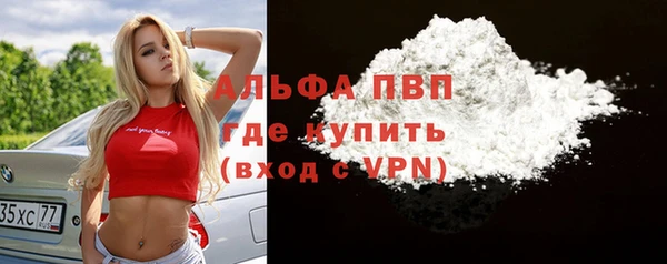 хмурый Карпинск