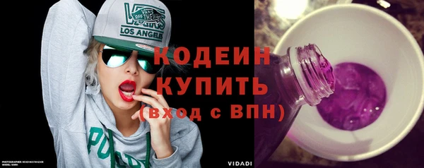 хмурый Карпинск