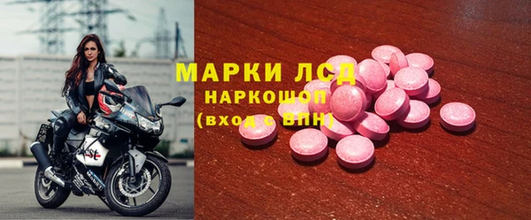 хмурый Карпинск
