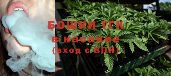 хмурый Карпинск