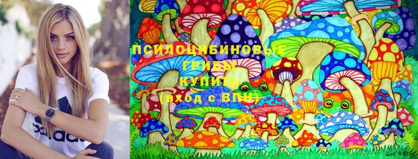 хмурый Карпинск