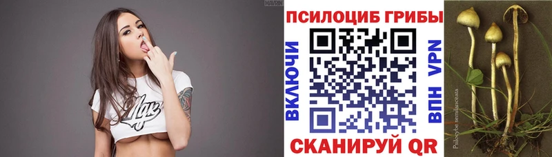 Купить где  Асино  Псилоцибиновые грибы прущие грибы 