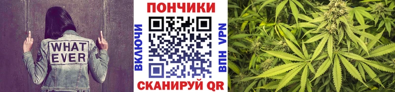 Бошки марихуана индика  Купить где  Асино 